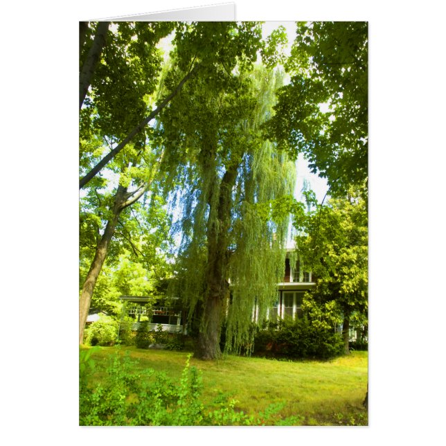 Un lugar más allá - Misterio casi a la vista (Frente)