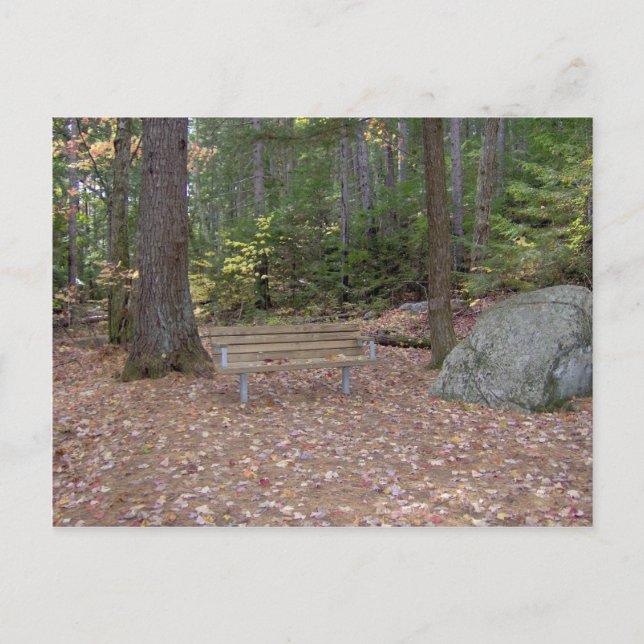 Un lugar para pensar la postal (Anverso)