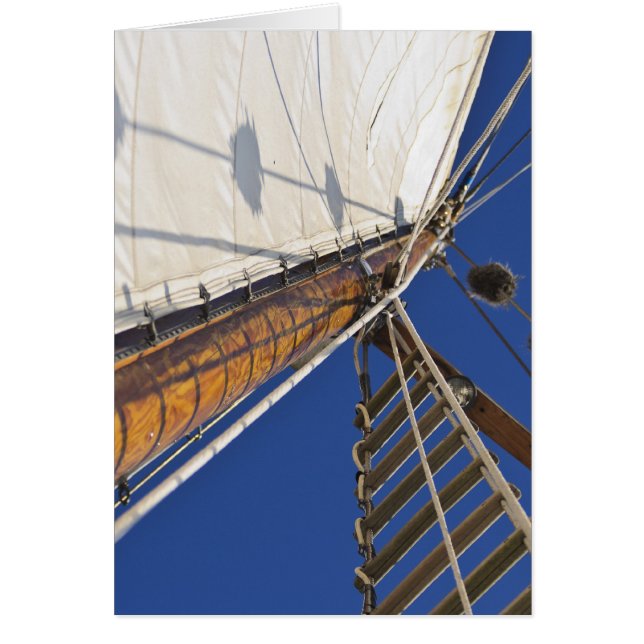 Un Mastre De Perspectiva (Frente)