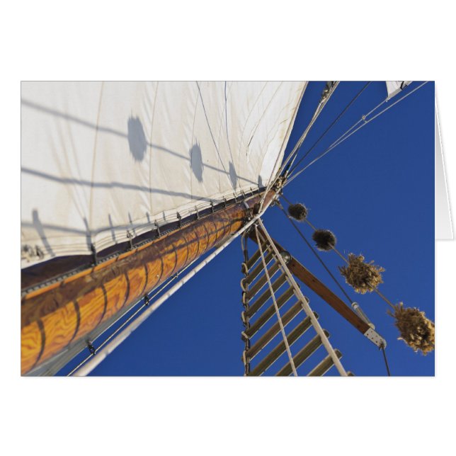 Un Mastre De Perspectiva (Anverso (Horizontal))