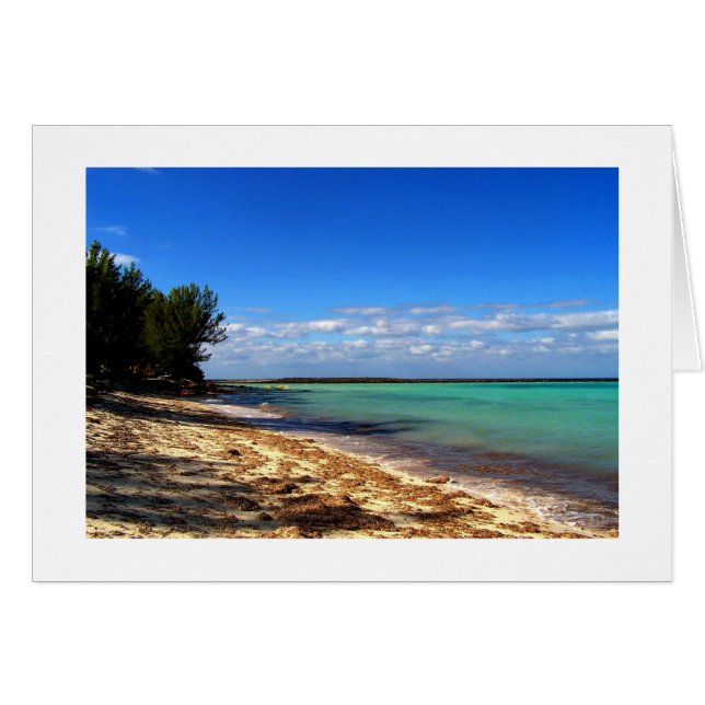 Un momento bahama (Anverso (Horizontal))