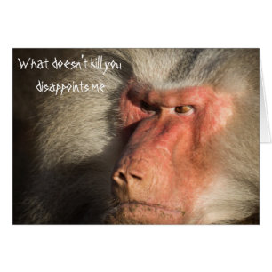 Un mono Baboon enojado que no te mata