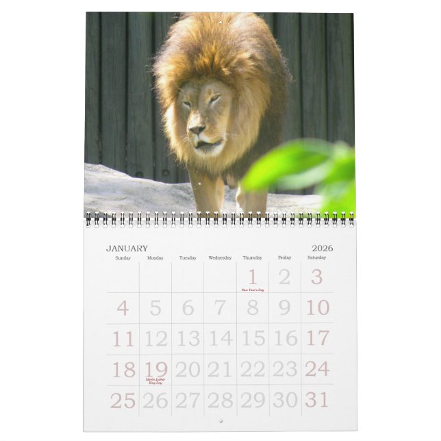 UN MUNDO del calendario de los ANIMALES (Jan 2026)