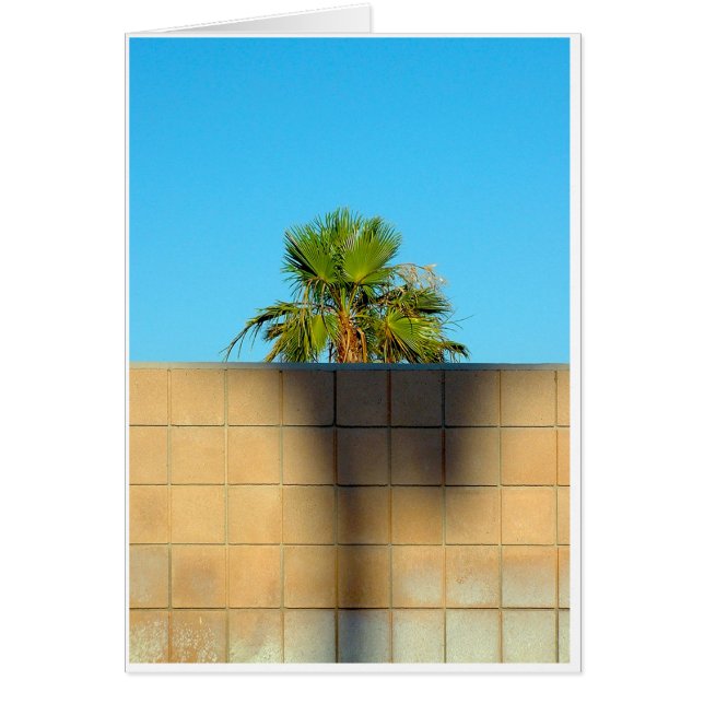 Un Muro En Wyman (Frente)