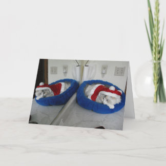 Un Navidad de contrabando de nueces