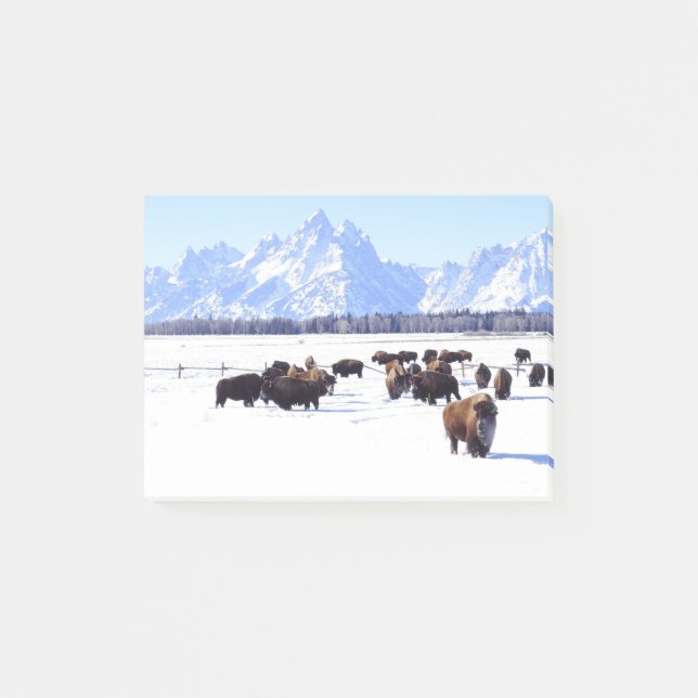 Un nuevo estilo interesante de la nota de post-it (Anverso)