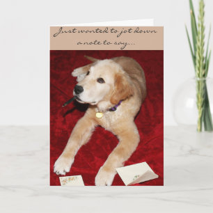 Un Oro Escribiendo Una Nota Que Dice Perdón