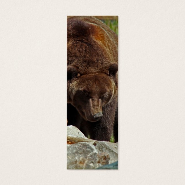 Un oso de un marcador (Frente)