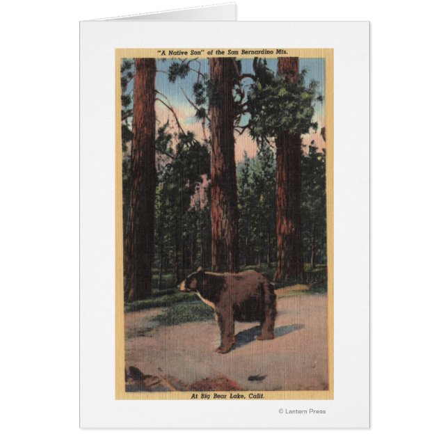 Un oso marrón en los bosques (Frente)