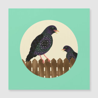 Un pájaro común que mira fijamente a un jardín se