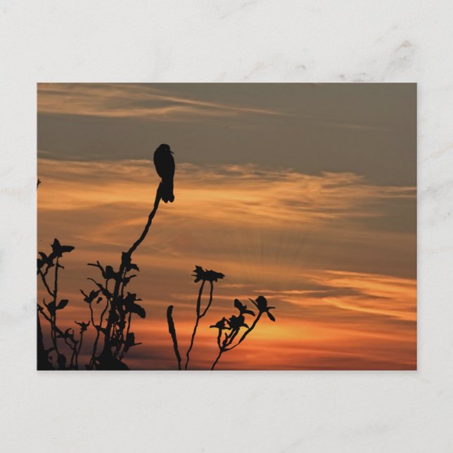 un pájaro en el árbol al atardecer postal (Anverso)
