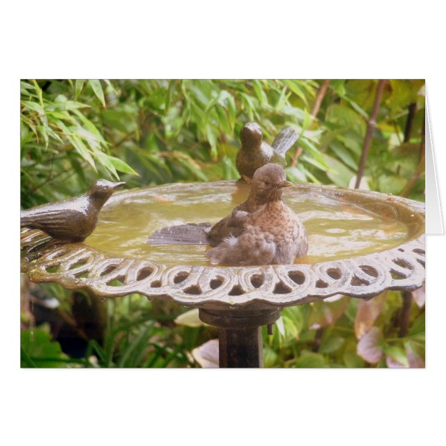 Un Pájaro En La Bañera (Anverso (Horizontal))