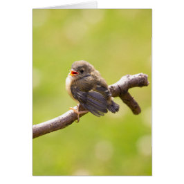 Un pájaro lindo cantando alegremente en un día de
