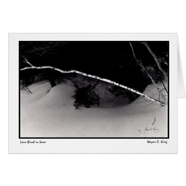 Un pájaro solitario en la nieve (Anverso (Horizontal))