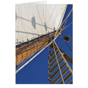 Un palo de la perspectiva