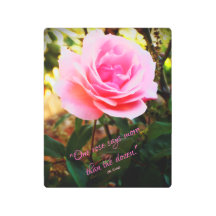 Un panel Rosa de arte Metalizado