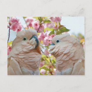 Un par de loros y una postal de flores de manzana