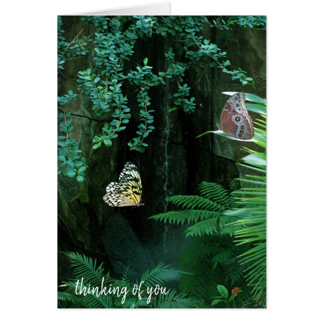 un par de mariposas en un jardín tropical (Frente)