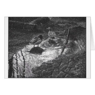 Un par de pato en un charco después de la lluvia