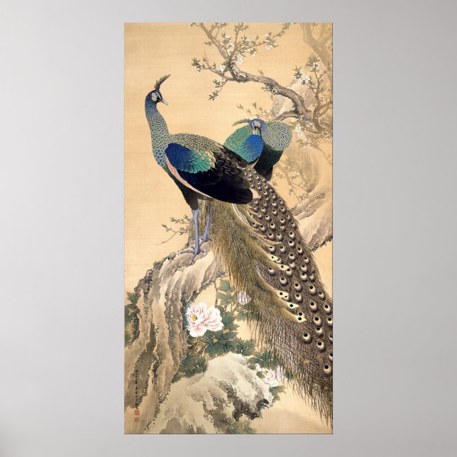 Un par de pavos reales en el arte japonés de prima (Frente)