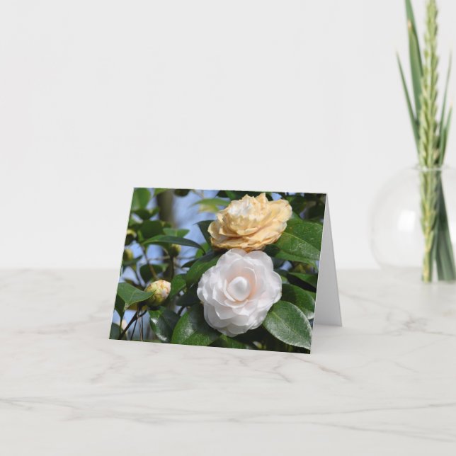 Un par de tarjetas de notas dobladas de Camellias (Anverso)