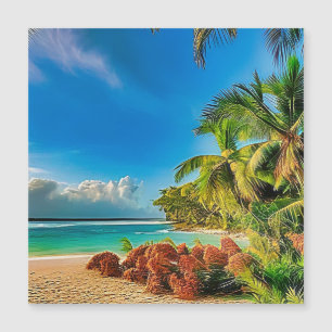 Un paraíso tropical.