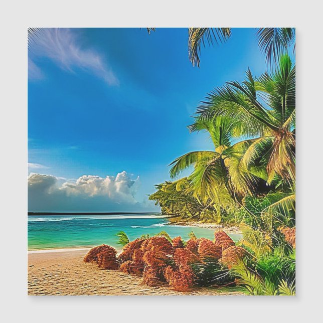 Un paraíso tropical. (Anverso)