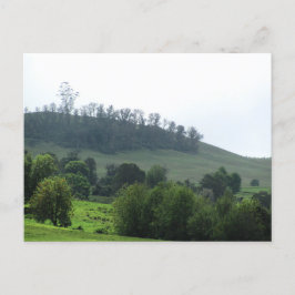 Un parche brillante de la postal de Upcountry