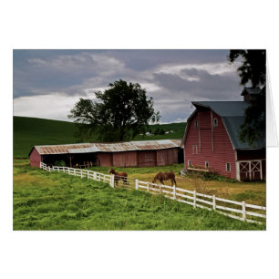 Un paseo por el campo agrícola de Palouse 4