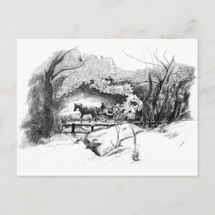 Un paseo por la postal de Central Park