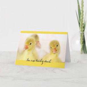 Un pato afortunado pensando en tu tarjeta
