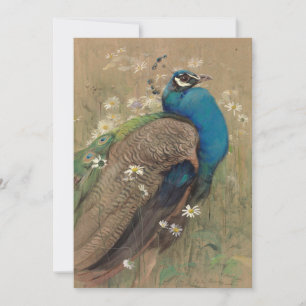 Un pavo real y margueritas   Edwin John Alexander