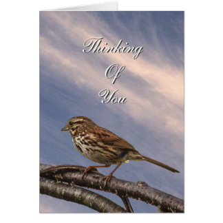 Un pequeño pájaro marrón