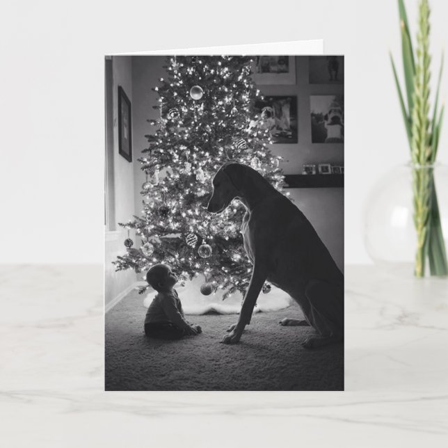 Un perrito grande para el navidad (Anverso)