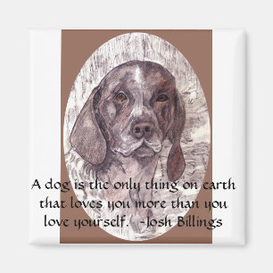 Un perro es el imán 2