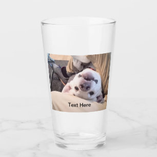 Un perro gracioso no será ignorado como una foto s