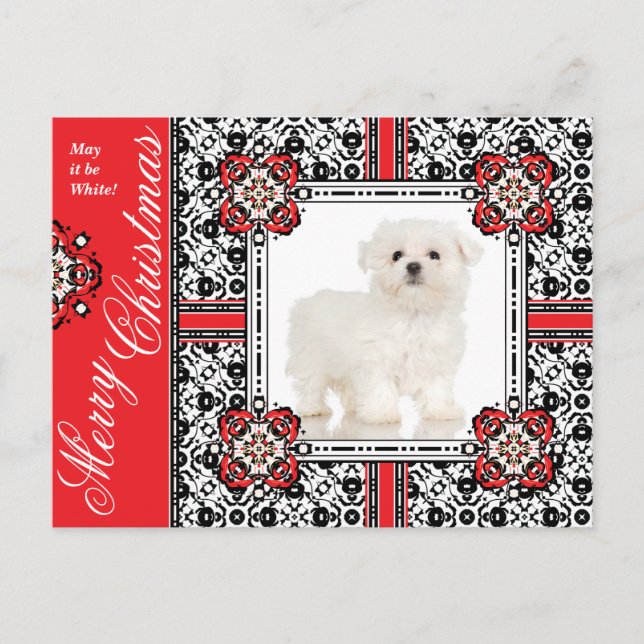 Un perro pequeño y esponjoso te desea un Navidad b (Anverso)