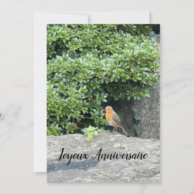 Un petit rouge-gorge (Anverso)