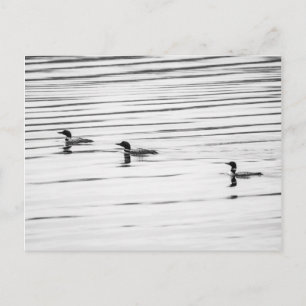 Un poco de amor - postal