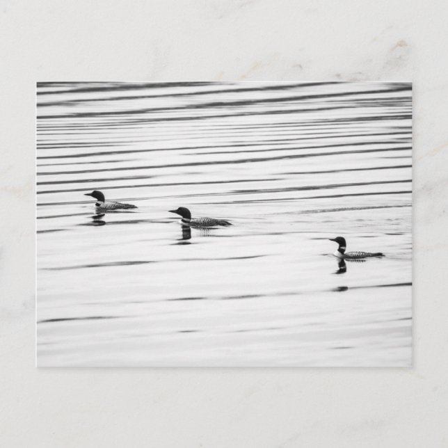 Un poco de amor - postal (Anverso)