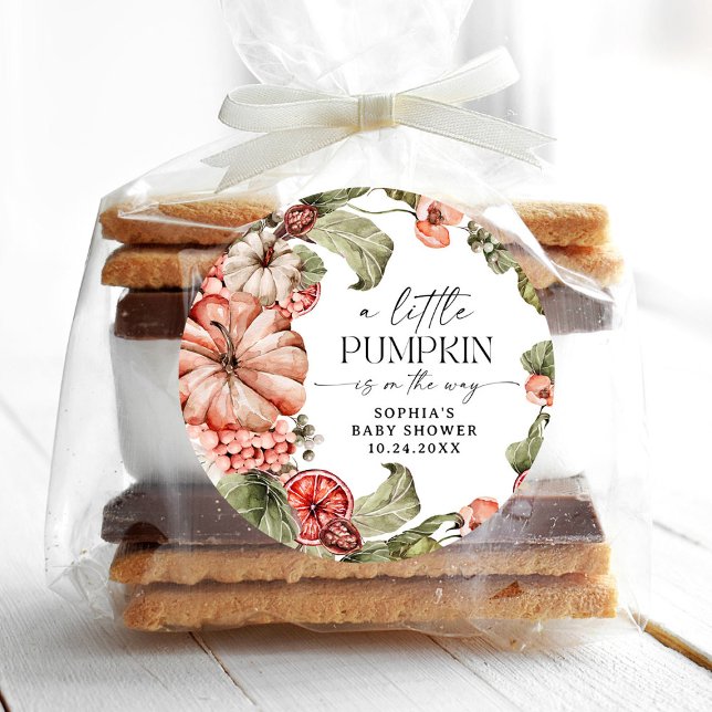 Un poco de calabaza Baby Shower Round Pegatinas (Subido por el creador)