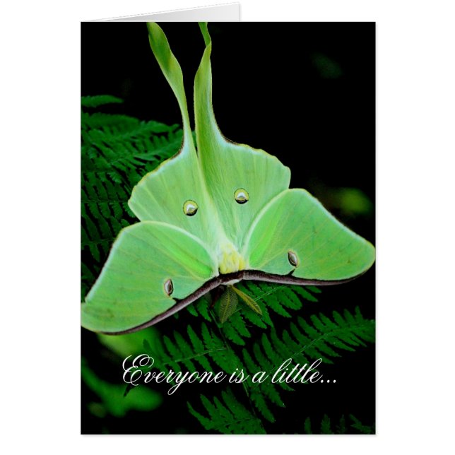 Un poco irlandés (Frente)