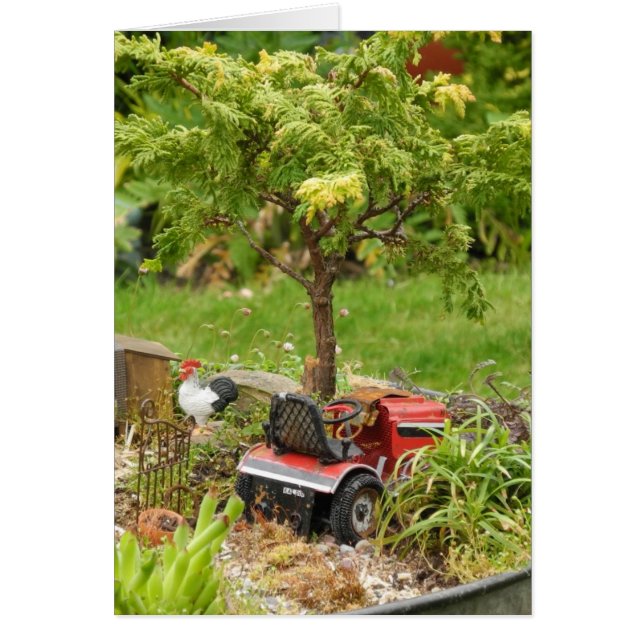 Un poco país, tarjeta en blanco (Frente)