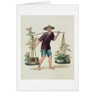 Un portero con los árboles frutales y las flores,
