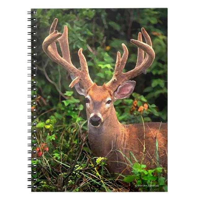 "Un príncipe cuaderno del bosque" (Frente)
