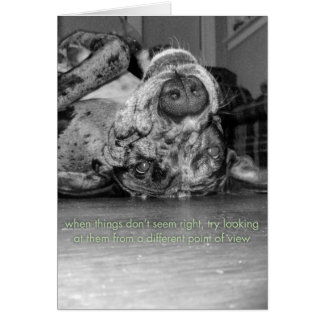 Un punto de vista diferente