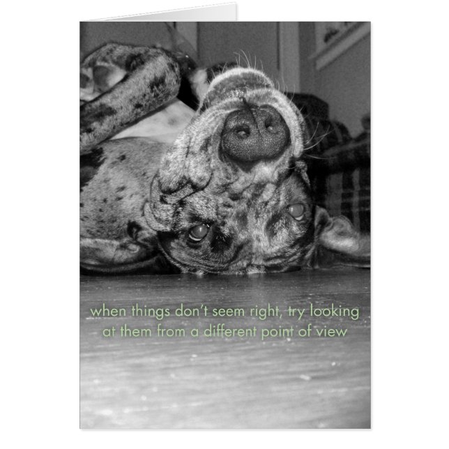 Un punto de vista diferente (Frente)