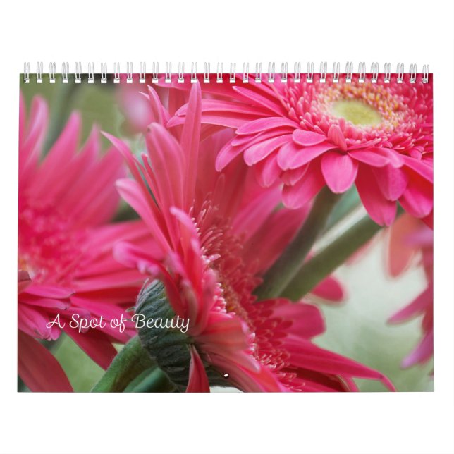 Un punto del calendario de la belleza (Tapa)