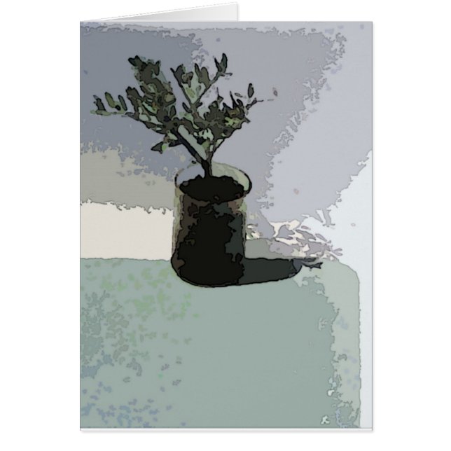 Un punto soleado (Frente)