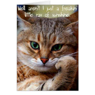 Un rayo de Freakin de la sol